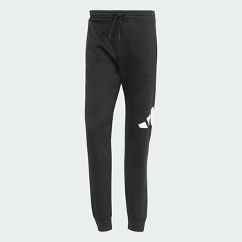 adidas Essentials Big Logo Erkek Eşofman Altı