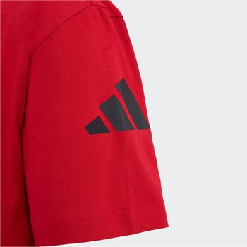adidas Filenin Sultanları Grafik Erkek Tişört