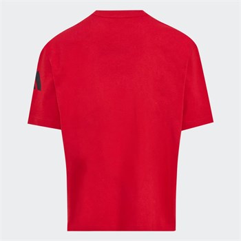 adidas Filenin Sultanları Grafik Erkek Tişört