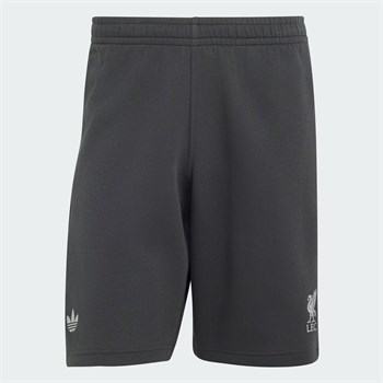 adidas Liverpool FC 26/27 Originals Teamgeist 26 Erkek Şort