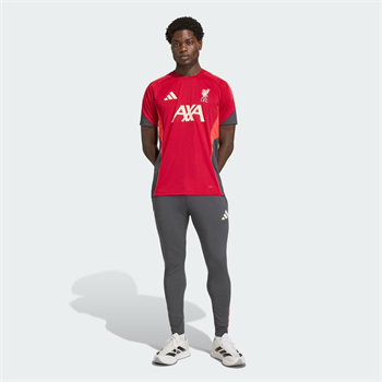 adidas Liverpool FC Tiro 25 Competition Training Erkek Eşofman Altı