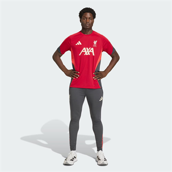 adidas Liverpool FC Tiro 25 Competition Training Erkek Eşofman Altı