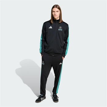 adidas Mercedes AMG Petronas Formula 1 Team Dna Erkek Eşofman Altı