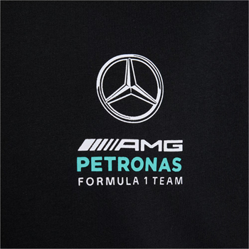 adidas Mercedes Amg Petronas Formula 1 Team Dna Çocuk Tişört