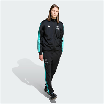 adidas Mercedes AMG Petronas Formula 1 Team Dna Erkek Eşofman Altı
