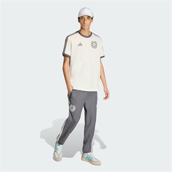 adidas Mercedes AMG Petronas Formula 1 Team Erkek Tişört