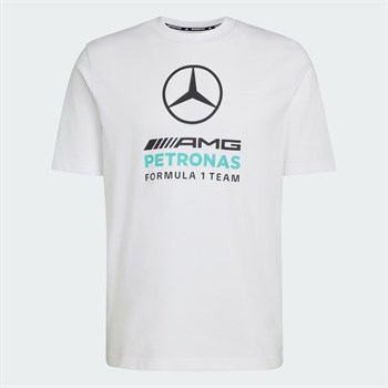 adidas Mercedes Amg Petronas Formula 1 Team DNA Erkek Tişört