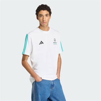 adidas Mercedes Amg Petronas Formula 1 Team DNA Erkek Tişört