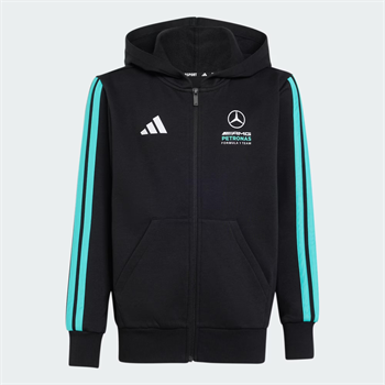 adidas Mercedes AMG Petronas Formula 1 Team DNA Çocuk Sweatshirt