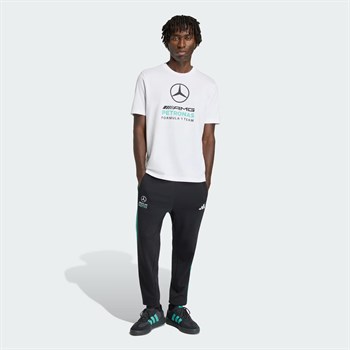 adidas Mercedes Amg Petronas Formula 1 Team DNA Erkek Tişört