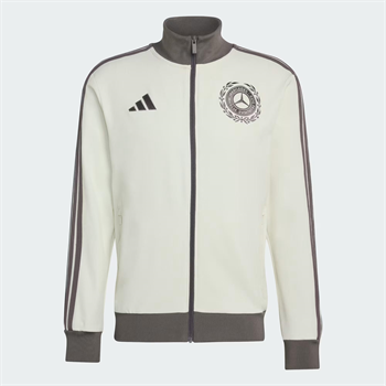 adidas Mercedes Amg Petronas Formula 1 Team Silver Arrows Icon Erkek Sweatshirt