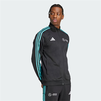 adidas Mercedes Amg Petronas Formula One Team Dna Erkek Sweatshirt