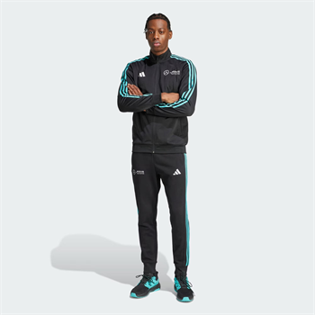 adidas Mercedes Amg Petronas Formula One Team Dna Erkek Sweatshirt