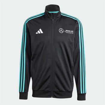 adidas Mercedes Amg Petronas Formula One Team Dna Erkek Sweatshirt