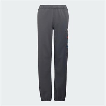 adidas Minecraft Terrex Climawarm Softshell Çocuk Eşofman Altı
