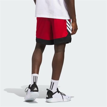 adidas Pro Motion Erkek Şort