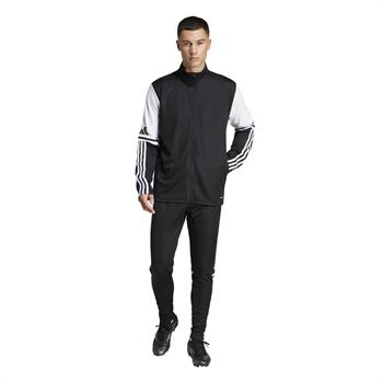 adidas Squadra 25 Training Erkek Eşofman Altı