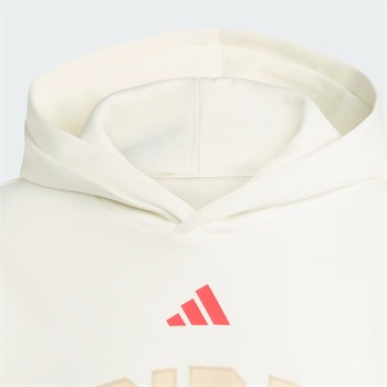 adidas Stadium Graphic Erkek Sweatshirt