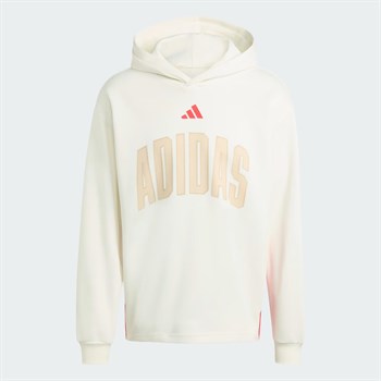 adidas Stadium Graphic Erkek Sweatshirt