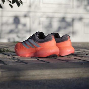 adidas Supernova Rise 3 Erkek Koşu Ayakkabısı