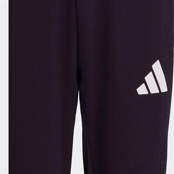 adidas Team Türkiye Erkek Eşofman Altı