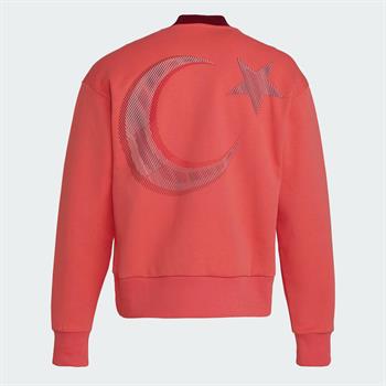 adidas Team Türkiye Erkek Sweatshirt