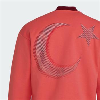 adidas Team Türkiye Erkek Sweatshirt