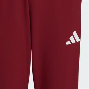 adidas Team Türkiye Seromoni Erkek Eşofman Altı