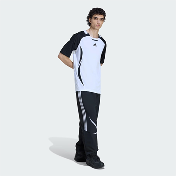 adidas Teamgeist Adicolor Erkek Eşofman Altı