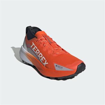 adidas Terrex Agravic GTX Erkek Koşu Ayakkabısı
