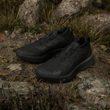 adidas Terrex Agravic GTX Erkek Koşu Ayakkabısı