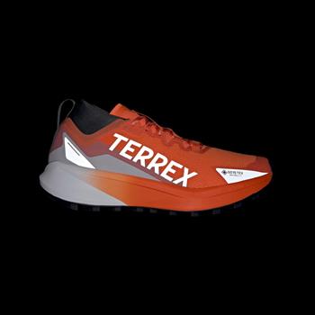 adidas Terrex Agravic GTX Erkek Koşu Ayakkabısı