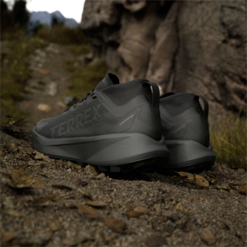 adidas Terrex Agravic GTX Trail Kadın Koşu Ayakkabısı