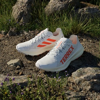 adidas Terrex Agravic Speed Trail Kadın Koşu Ayakkabısı