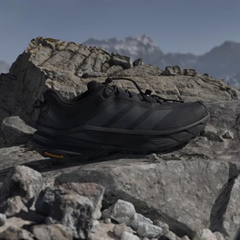 adidas Terrex Freehiker SL Gore Tex Erkek Outdoor Ayakkabı