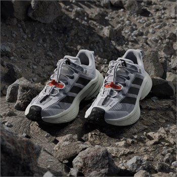 adidas Terrex Freehiker SL Gore-Tex Kadın Outdoor Ayakkabı