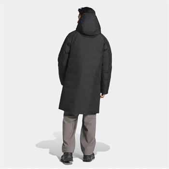adidas Terrex Gore Tex Goose Erkek Mont