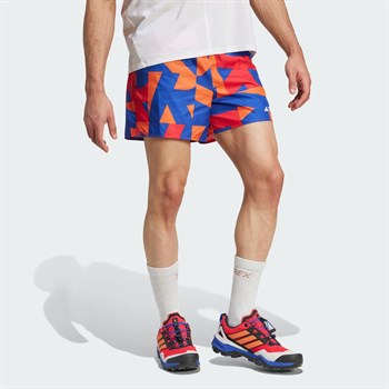 adidas Terrex Multi Light Erkek Şort