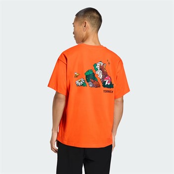 adidas Terrex Nature Logo Erkek Tişört