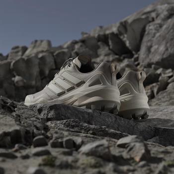 adidas Terrex Skychaser Gore Tex Erkek Outdoor Ayakkabı