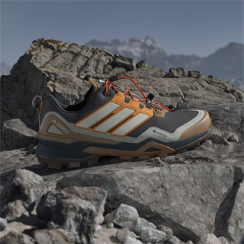 adidas Terrex Skychaser Gore Tex Erkek Outdoor Ayakkabı