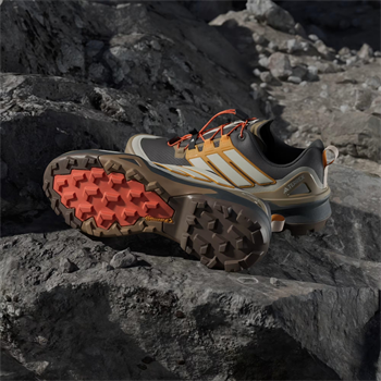 adidas Terrex Skychaser Gore Tex Erkek Outdoor Ayakkabı