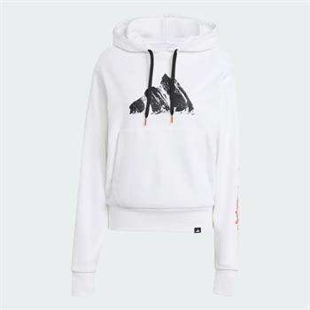adidas Terrex Snow Adventure Graphic Erkek Sweatshirt