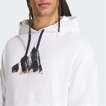 adidas Terrex Snow Adventure Graphic Erkek Sweatshirt