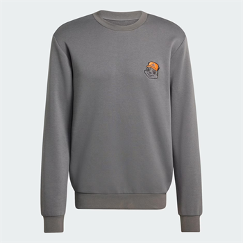 adidas Terrex Trail Rules Graphic Erkek Sweatshirt