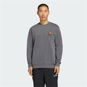 adidas Terrex Trail Rules Graphic Erkek Sweatshirt