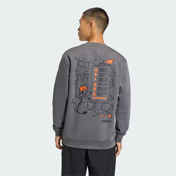adidas Terrex Trail Rules Graphic Erkek Sweatshirt