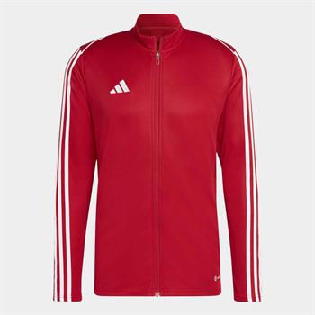 adidas Tiro 23 League Training Erkek Sweatshirt