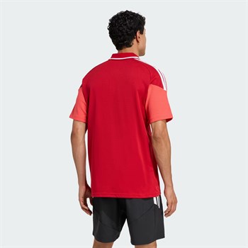 adidas Tiro 26 Competition Polo Erkek Tişört