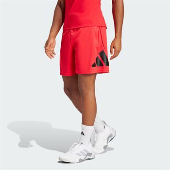 adidas Training Essentials Logo Erkek Şort